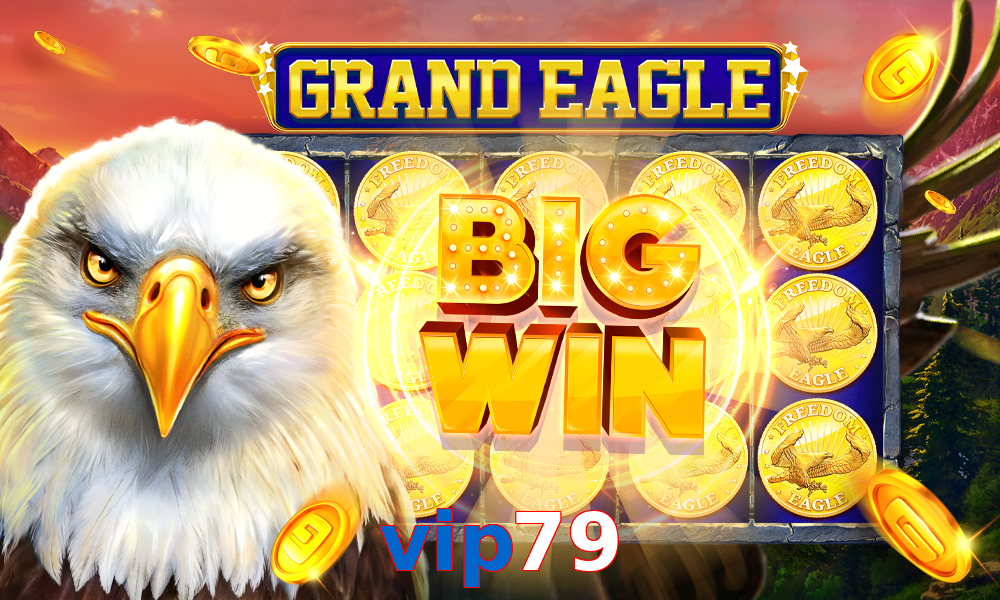vip79