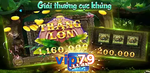vip79